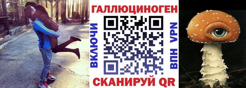 Галлюциногенные грибы Cubensis цены наркотик Новоалександровск