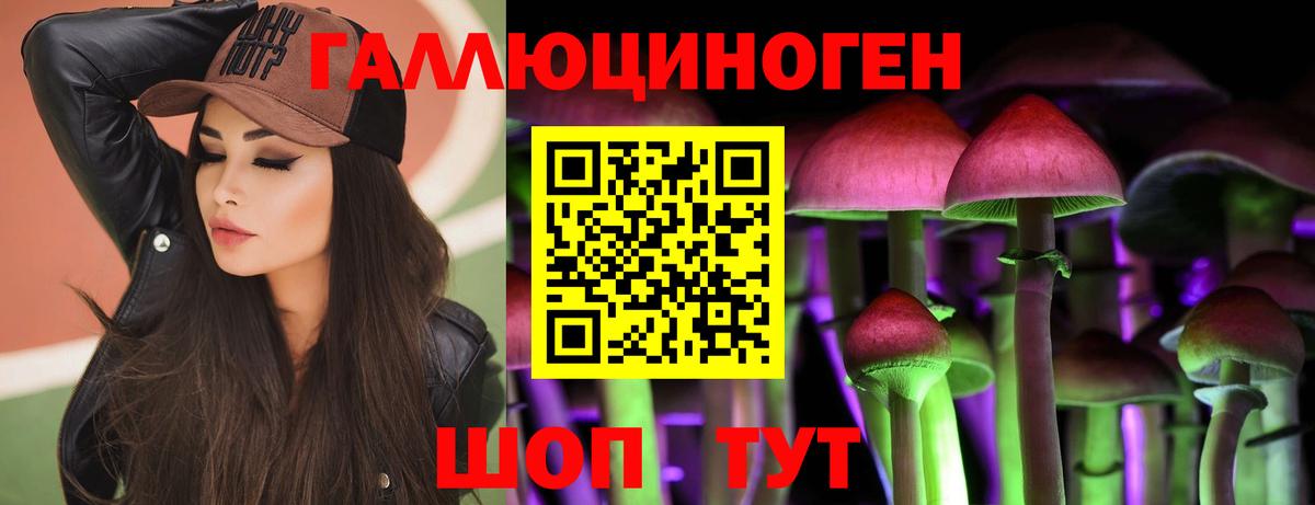 Псилоцибиновые грибы Cubensis  Галлюциногенные грибы GOLDEN TEACHER  купить наркотики цена  Новоалександровск  Вход с VPN 