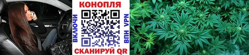 hydra Новоалександровск Бошки Шишки индика